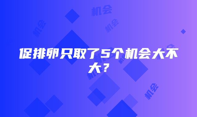 促排卵只取了5个机会大不大？