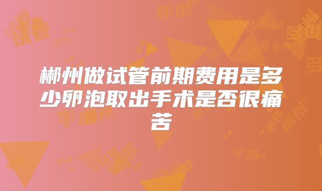 郴州做试管前期费用是多少卵泡取出手术是否很痛苦