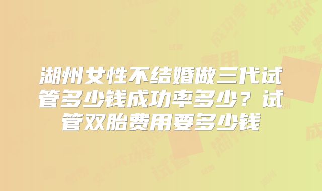 湖州女性不结婚做三代试管多少钱成功率多少？试管双胎费用要多少钱
