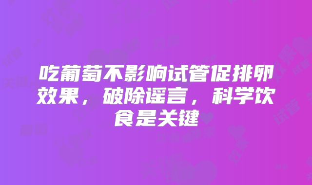吃葡萄不影响试管促排卵效果，破除谣言，科学饮食是关键