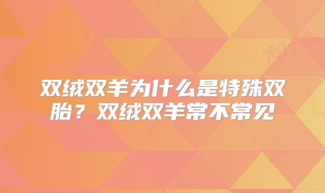 双绒双羊为什么是特殊双胎?双绒双羊常不常见