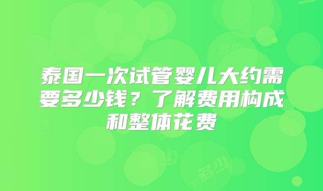 泰国一次试管婴儿大约需要多少钱?了解费用构成和整体花费