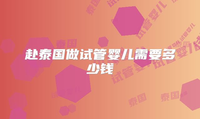 赴泰国做试管婴儿需要多少钱