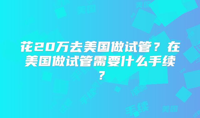 花20万去美国做试管？在美国做试管需要什么手续？