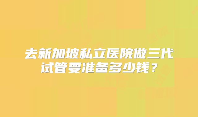去新加坡私立医院做三代试管要准备多少钱?