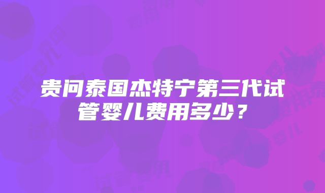 贵问泰国杰特宁第三代试管婴儿费用多少?