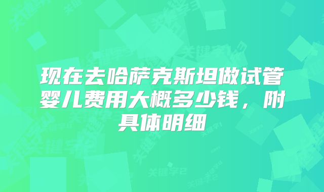 现在去哈萨克斯坦做试管婴儿费用大概多少钱，附具体明细