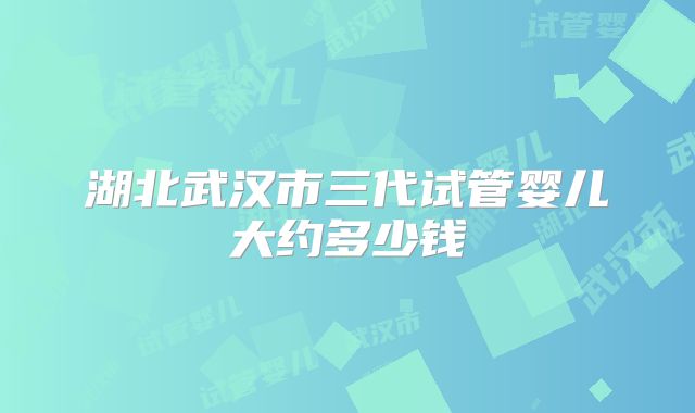湖北武汉市三代试管婴儿大约多少钱