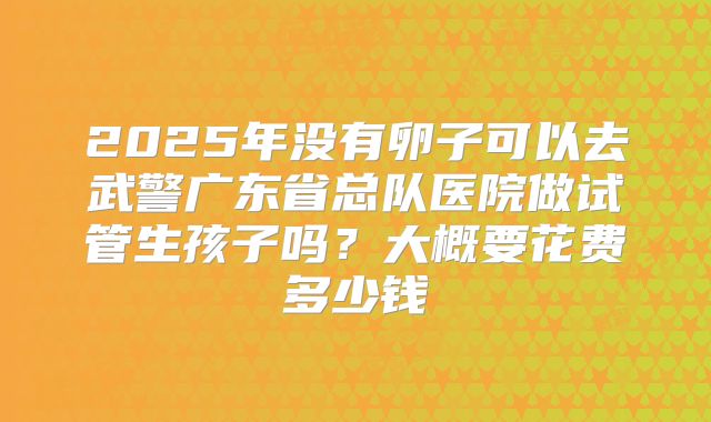 2025年没有卵子可以去武警广东省总队医院做试管生孩子吗？大概要花费多少钱