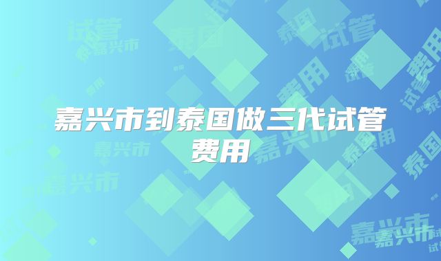 嘉兴市到泰国做三代试管费用