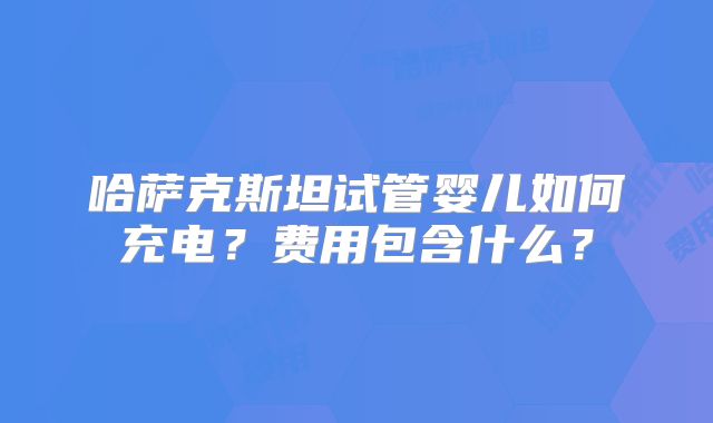 哈萨克斯坦试管婴儿如何充电?费用包含什么?