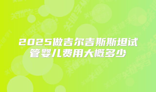 2025做吉尔吉斯斯坦试管婴儿费用大概多少
