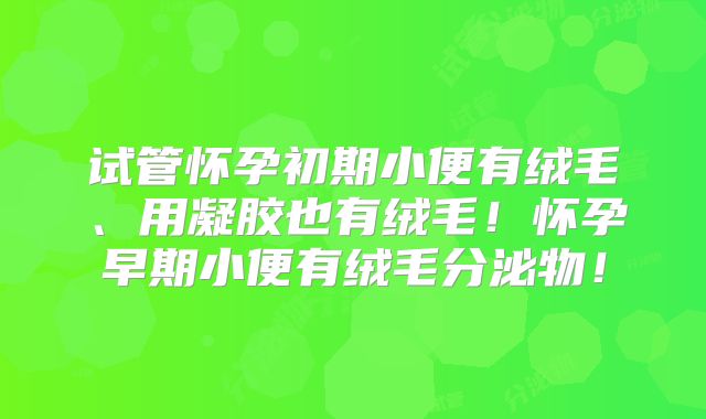 试管怀孕初期小便有绒毛、用凝胶也有绒毛!怀孕早期小便有绒毛分泌物!