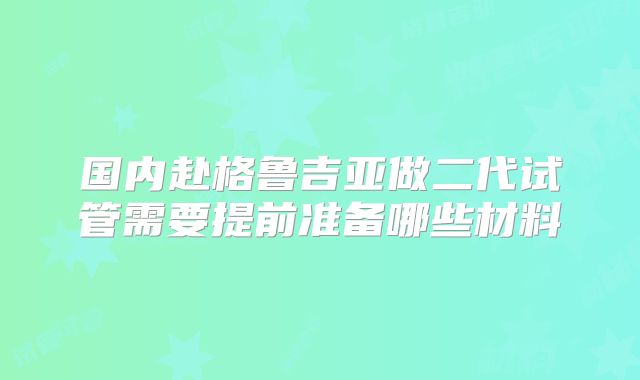 国内赴格鲁吉亚做二代试管需要提前准备哪些材料