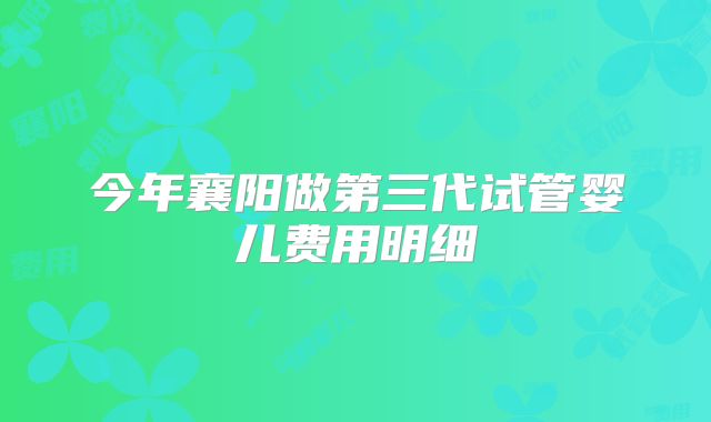 今年襄阳做第三代试管婴儿费用明细
