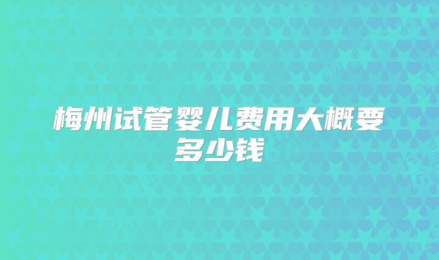 梅州试管婴儿费用大概要多少钱