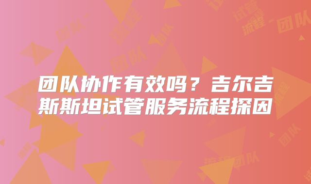 团队协作有效吗?吉尔吉斯斯坦试管服务流程探因