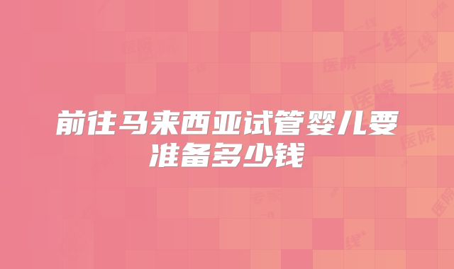 前往马来西亚试管婴儿要准备多少钱