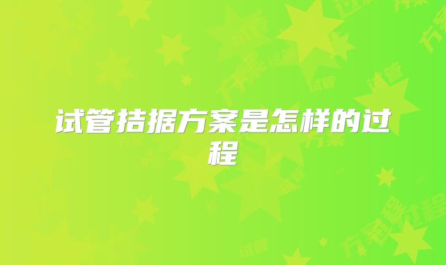 试管拮据方案是怎样的过程