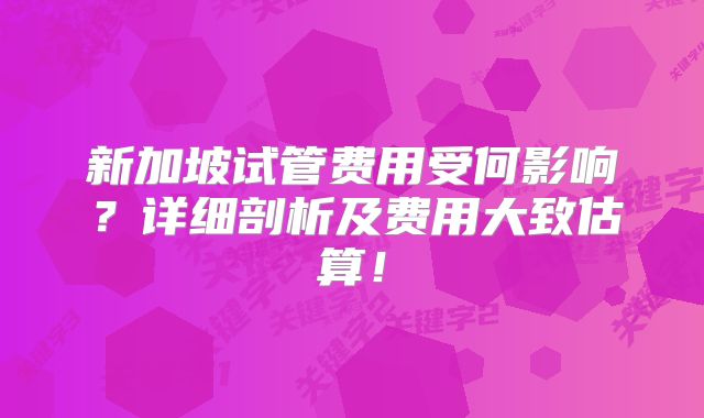 新加坡试管费用受何影响？详细剖析及费用大致估算！