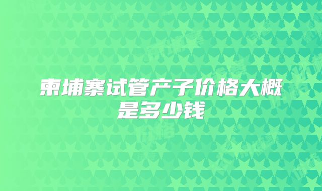 柬埔寨试管产子价格大概是多少钱