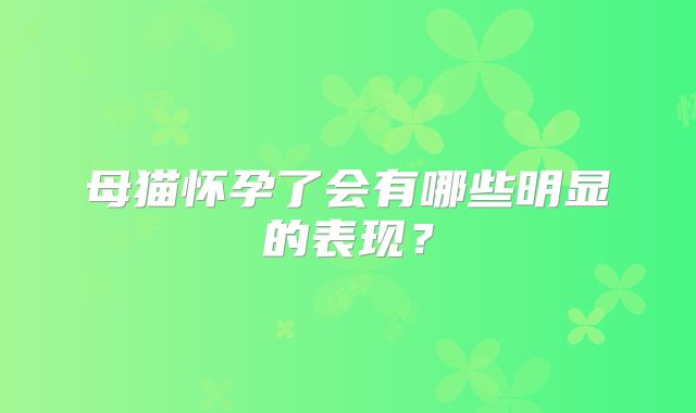 母猫怀孕了会有哪些明显的表现？