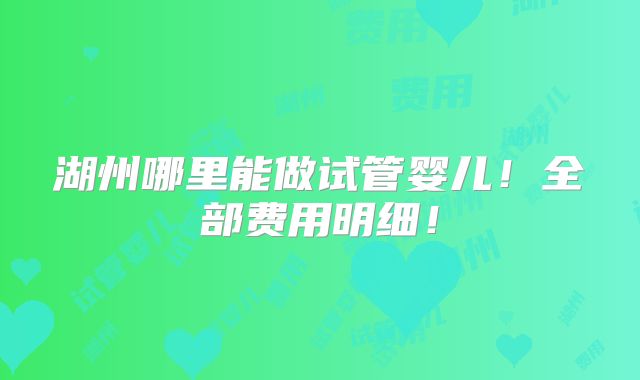 湖州哪里能做试管婴儿!全部费用明细!