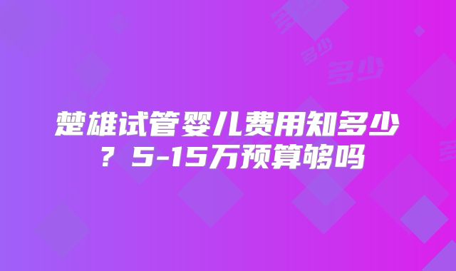 楚雄试管婴儿费用知多少?5-15万预算够吗
