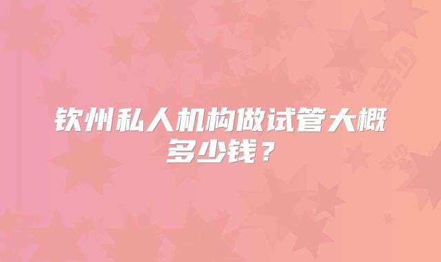 钦州私人机构做试管大概多少钱？