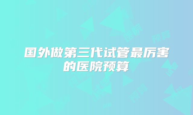 国外做第三代试管最厉害的医院预算