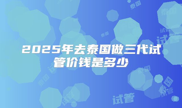 2025年去泰国做三代试管价钱是多少