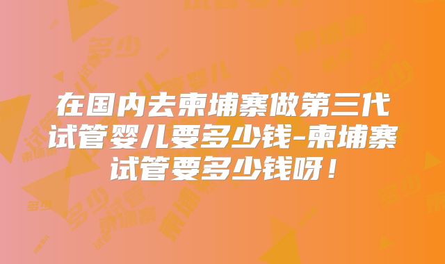 在国内去柬埔寨做第三代试管婴儿要多少钱-柬埔寨试管要多少钱呀！
