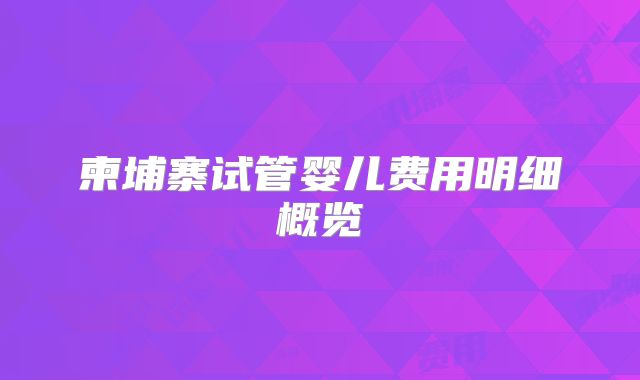 柬埔寨试管婴儿费用明细概览