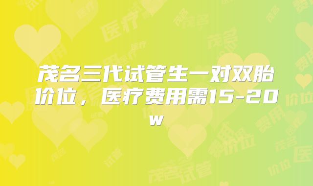茂名三代试管生一对双胎价位，医疗费用需15-20w