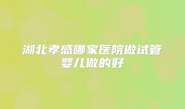 湖北孝感哪家医院做试管婴儿做的好