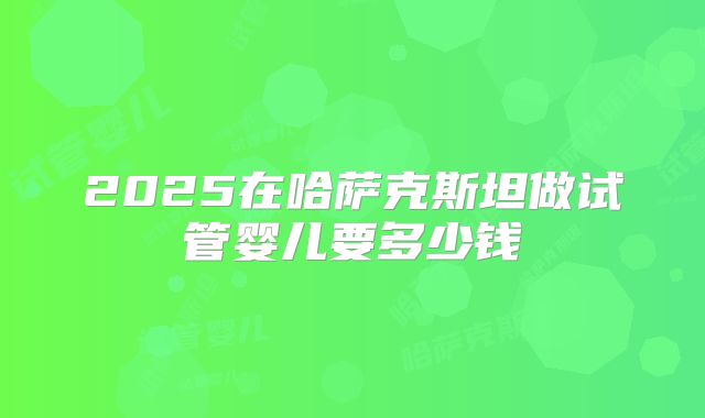 2025在哈萨克斯坦做试管婴儿要多少钱
