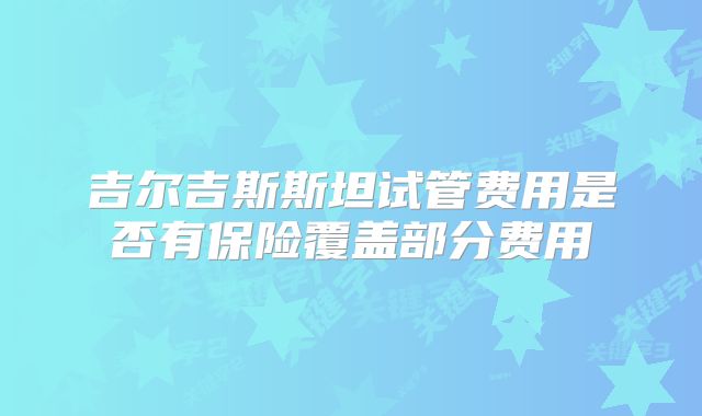 吉尔吉斯斯坦试管费用是否有保险覆盖部分费用