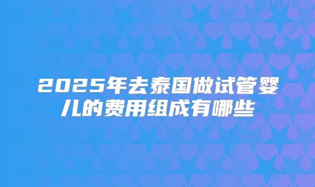 2025年去泰国做试管婴儿的费用组成有哪些