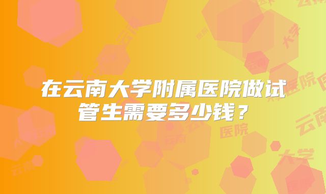 在云南大学附属医院做试管生需要多少钱?