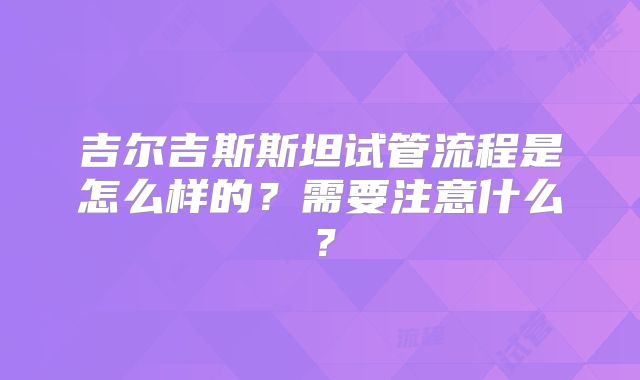 吉尔吉斯斯坦试管流程是怎么样的？需要注意什么？