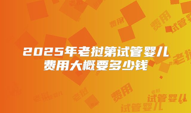 2025年老挝第试管婴儿费用大概要多少钱