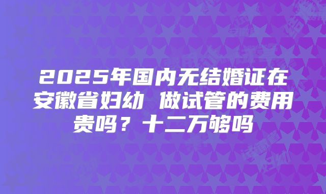 2025年国内无结婚证在安徽省妇幼 做试管的费用贵吗?十二万够吗