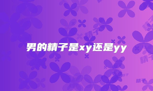 男的精子是xy还是yy