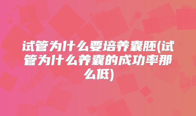 试管为什么要培养囊胚(试管为什么养囊的成功率那么低)