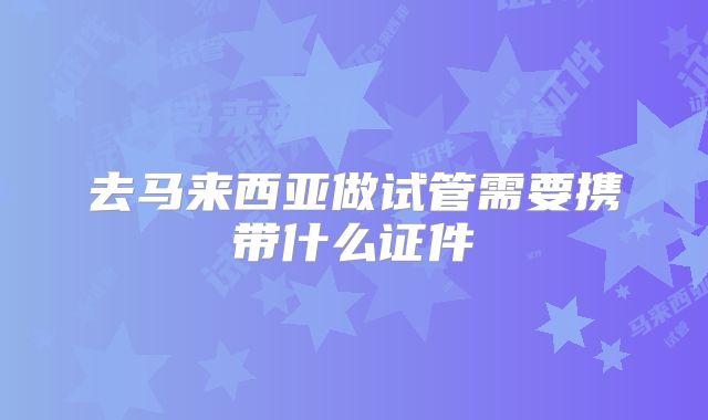 去马来西亚做试管需要携带什么证件