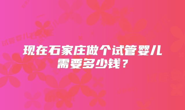 现在石家庄做个试管婴儿需要多少钱?