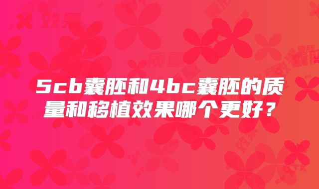 5cb囊胚和4bc囊胚的质量和移植效果哪个更好？