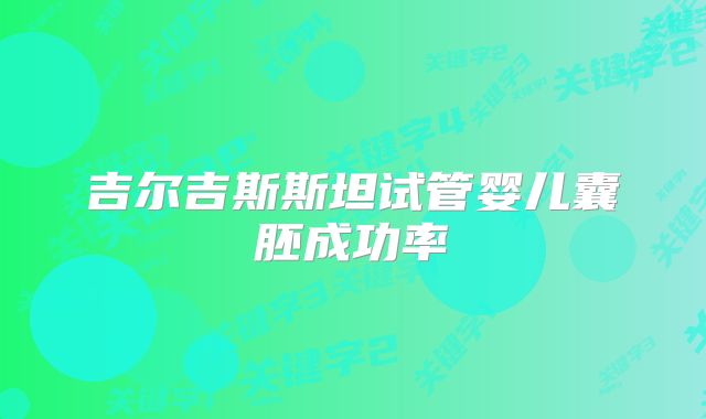 吉尔吉斯斯坦试管婴儿囊胚成功率
