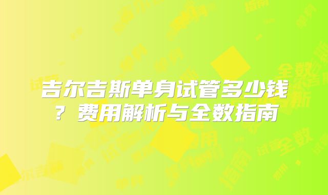 吉尔吉斯单身试管多少钱？费用解析与全数指南