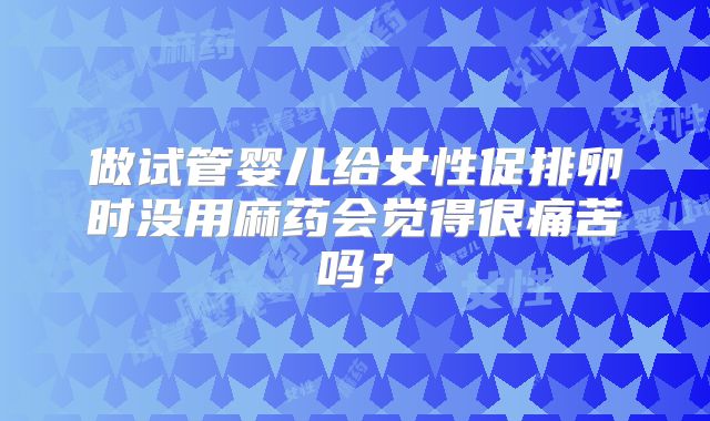 做试管婴儿给女性促排卵时没用麻药会觉得很痛苦吗?